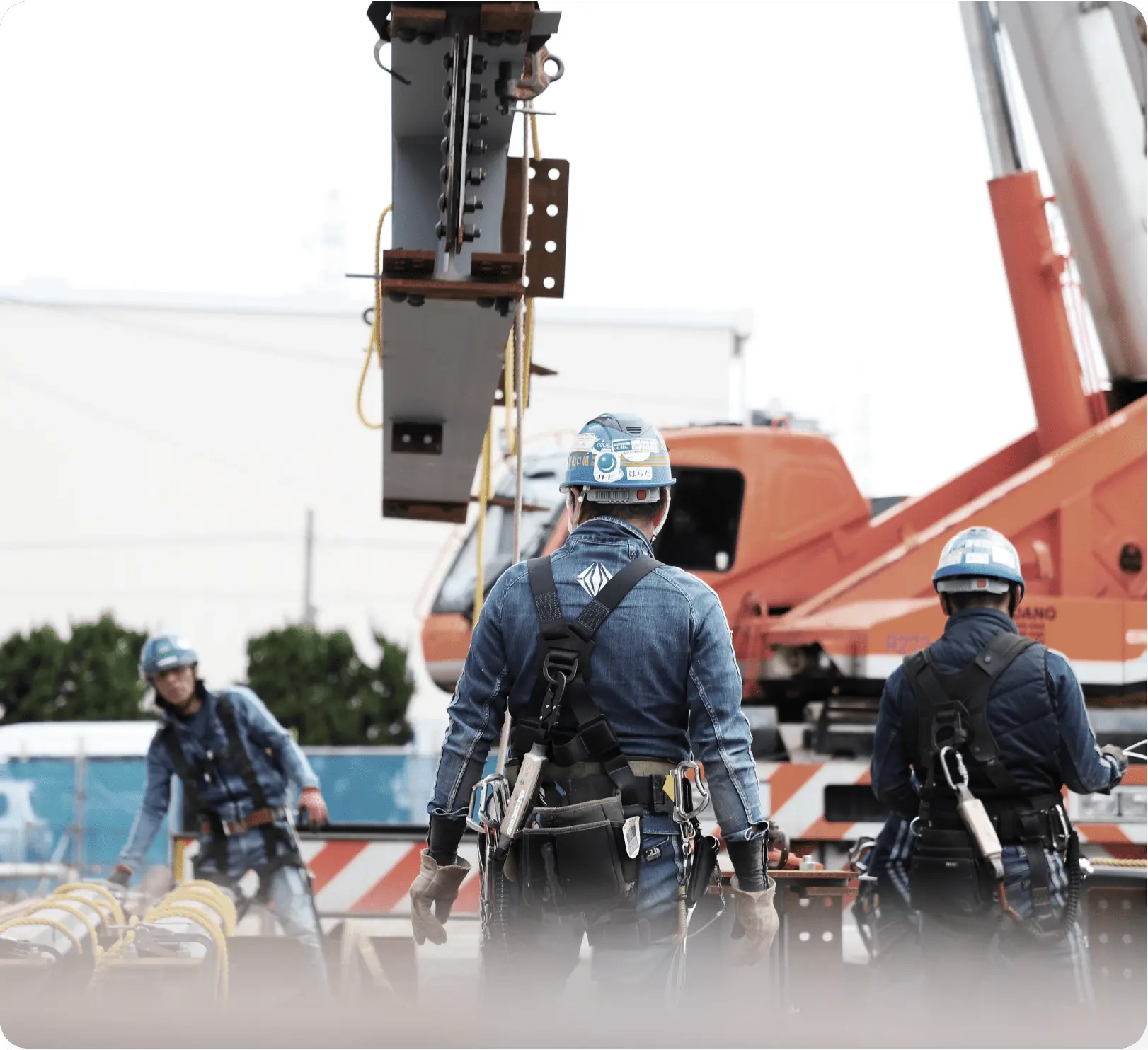 メインイメージ 1