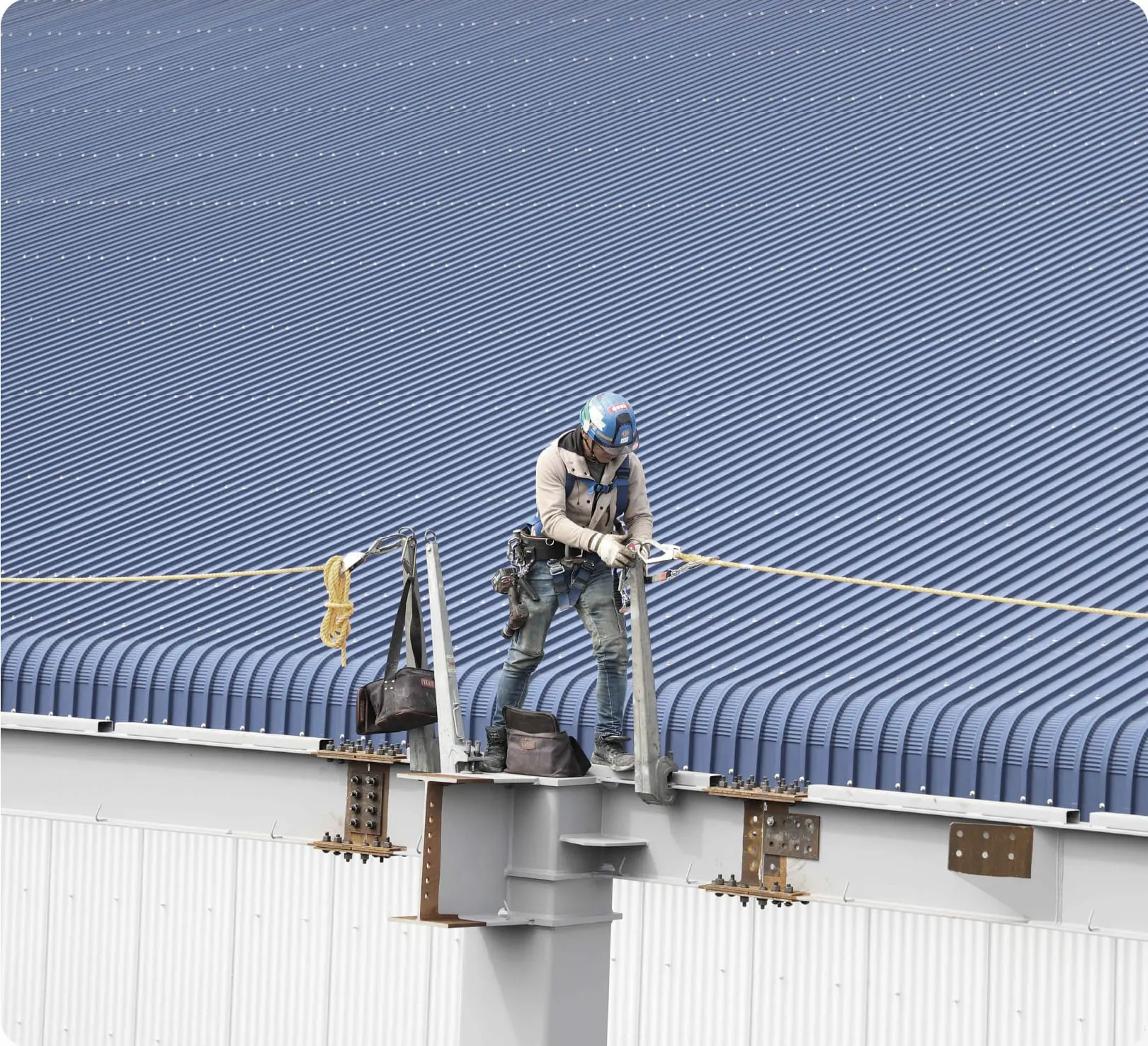 メインイメージ 3