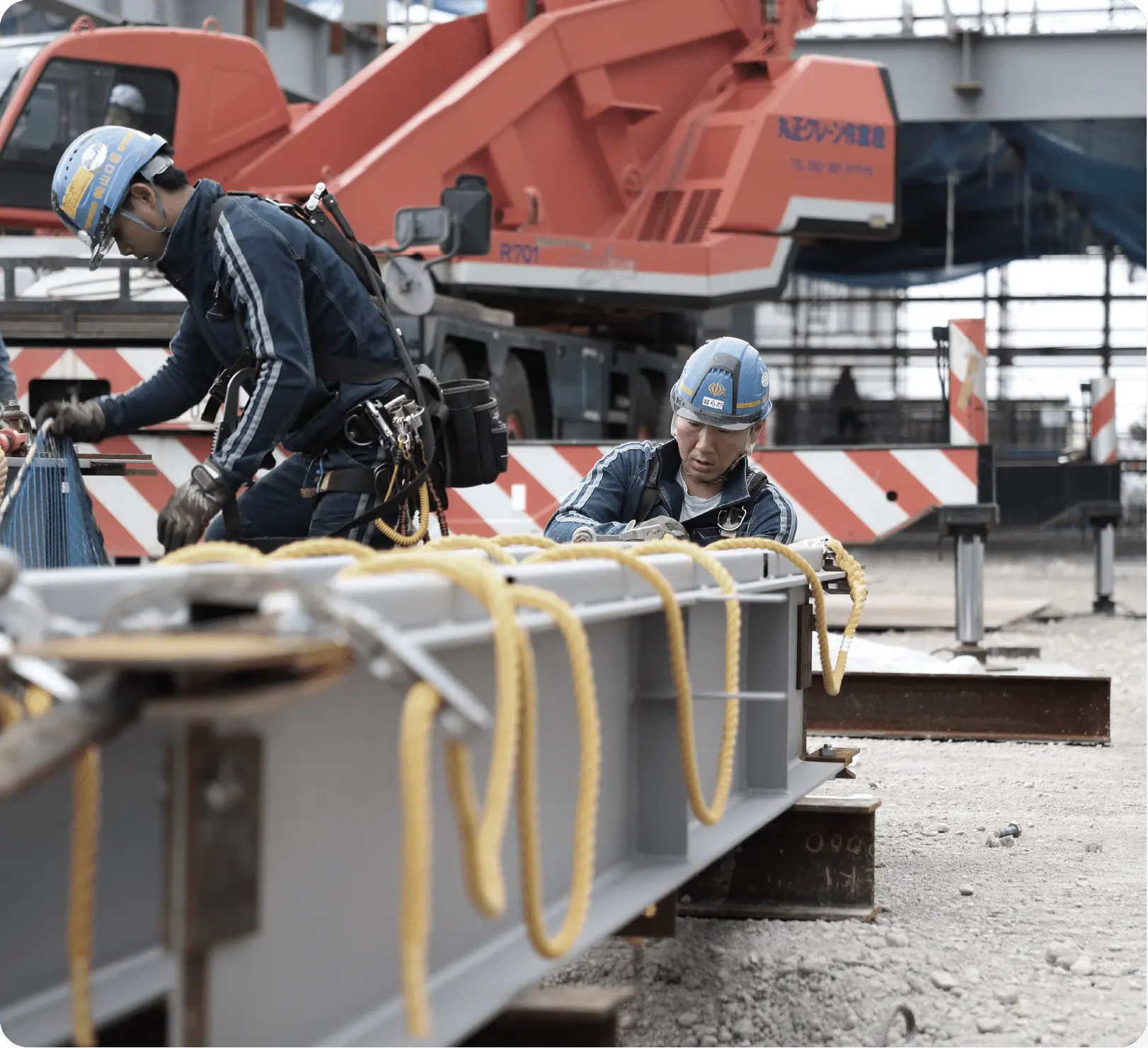 メインイメージ 5